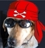 Avatar utente